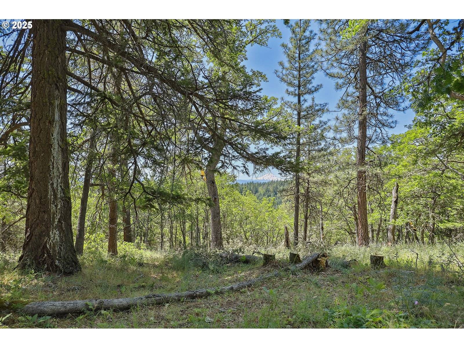 Lyle, WA 98635,Oak Knoll Ridge RD #11