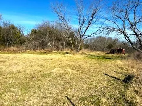 Dawson, TX 76639,TBD Tract 3-1 FM 642