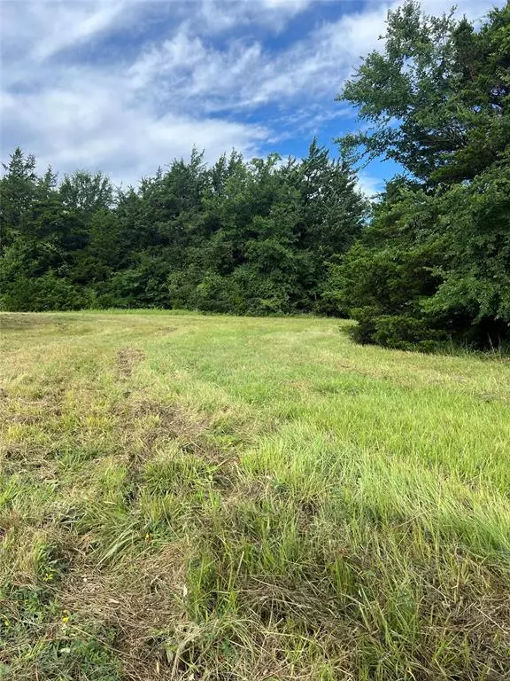 Sulphur Springs, TX 75482,TBD County Road 4578
