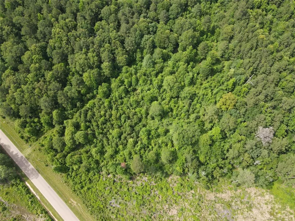 Minden, LA 71055,321 Fuller Road