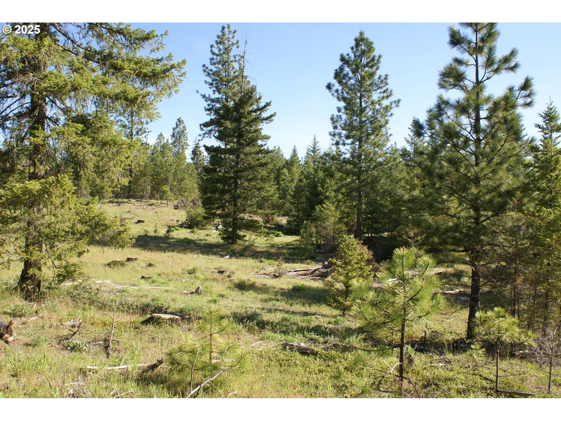 Goldendale, WA 98620,5 Sky RD