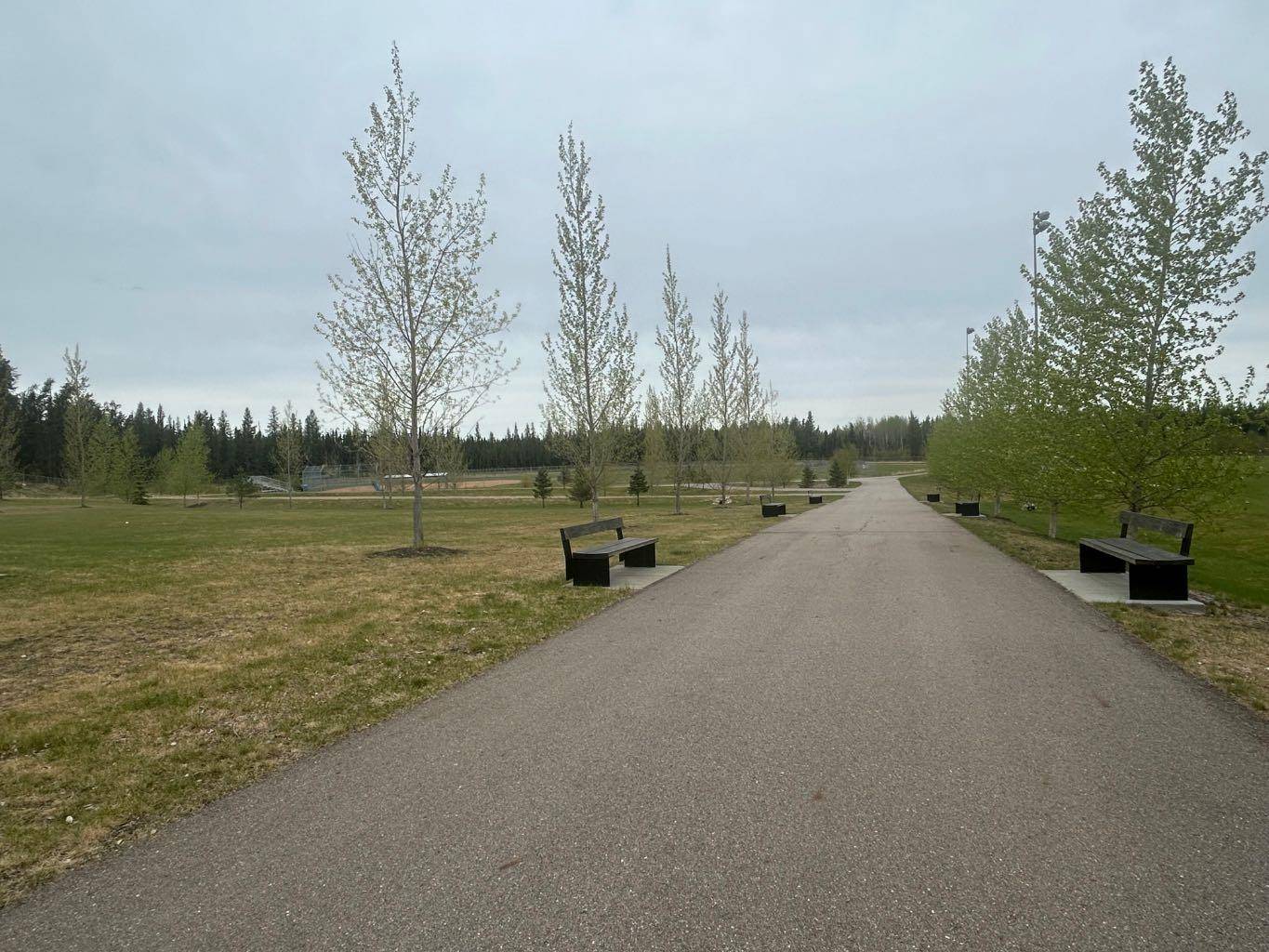 Conklin, AB T0P 1H0,123 Poplar Drive Rr DR