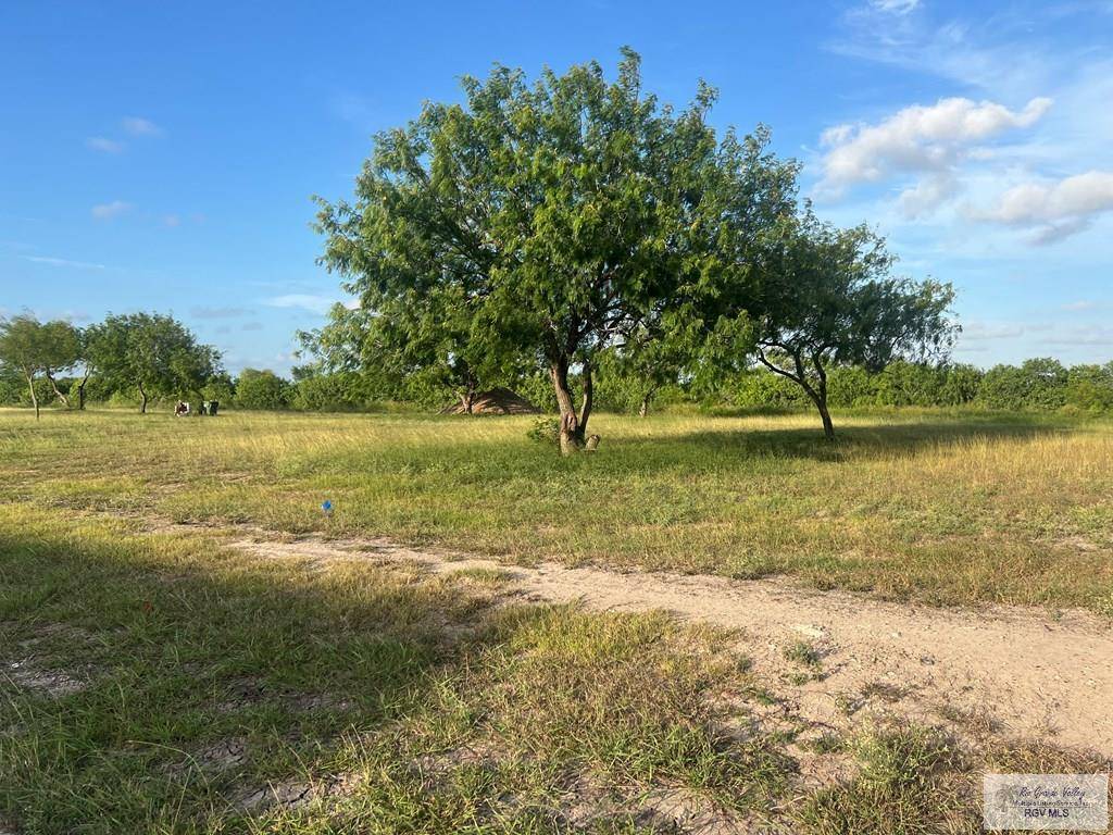 TBD GUISEPPE VERDI, Brownsville, TX 78526