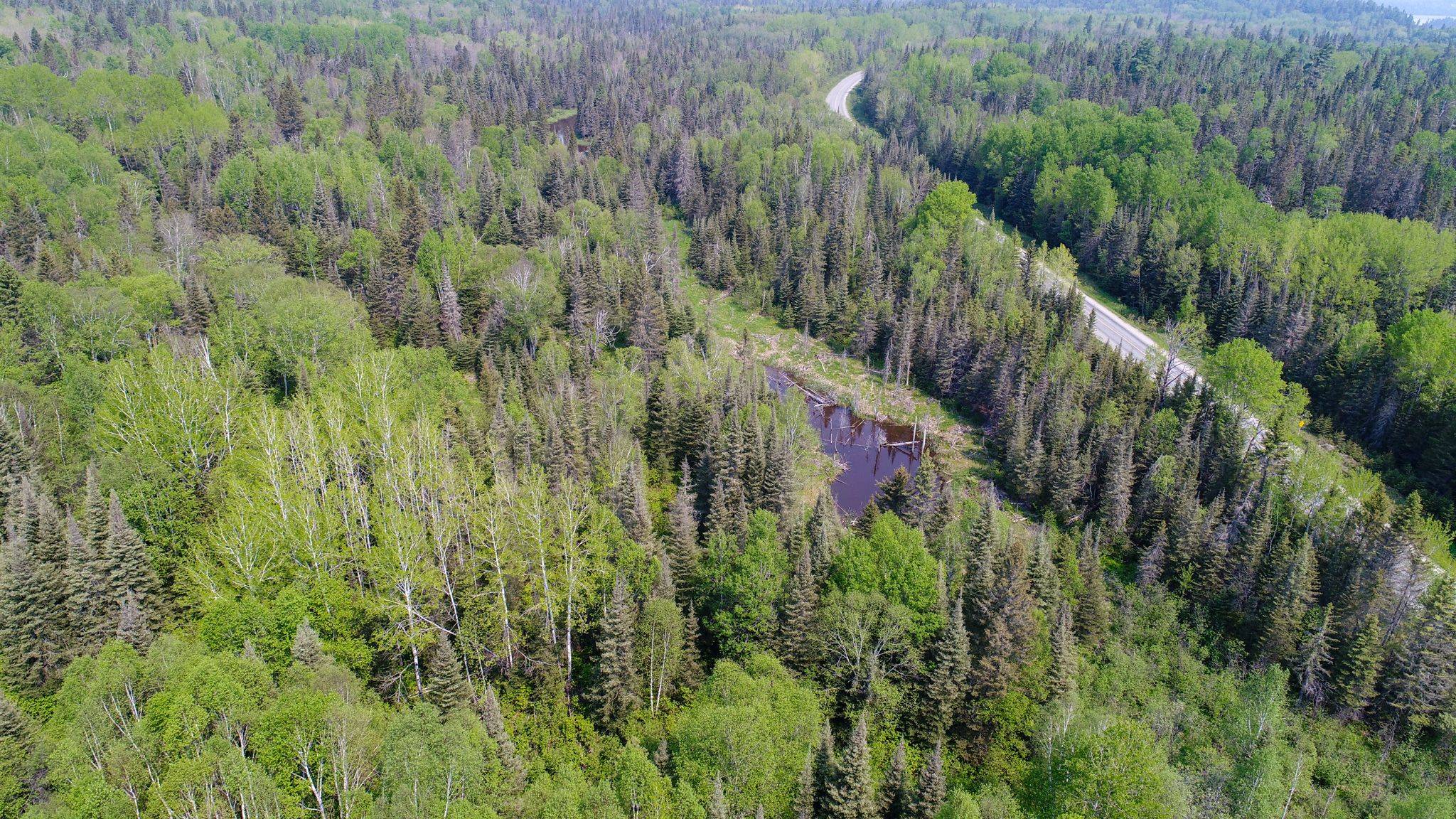 Larder Lake, ON P0K 1L0,PC13528 624 HWY