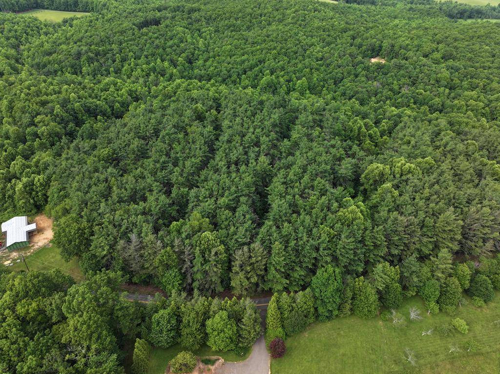 0 Red Rough Road, Meadows Of Dan, VA 24120