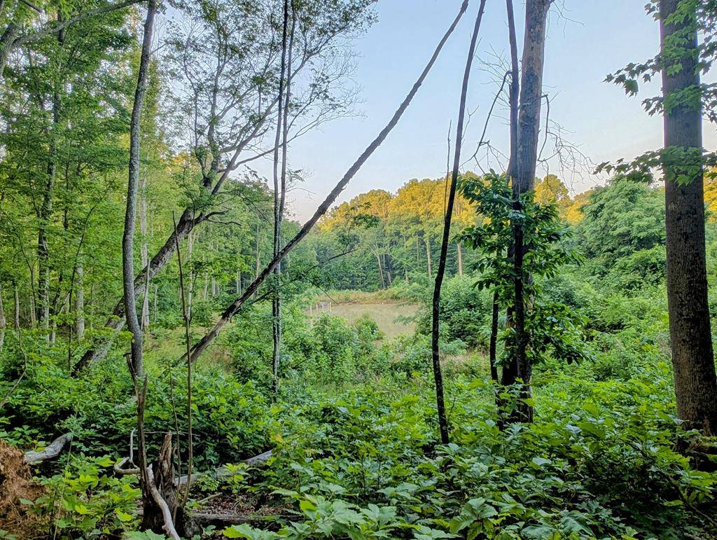 Ararat, VA 24053,00 Johnson Creek Road