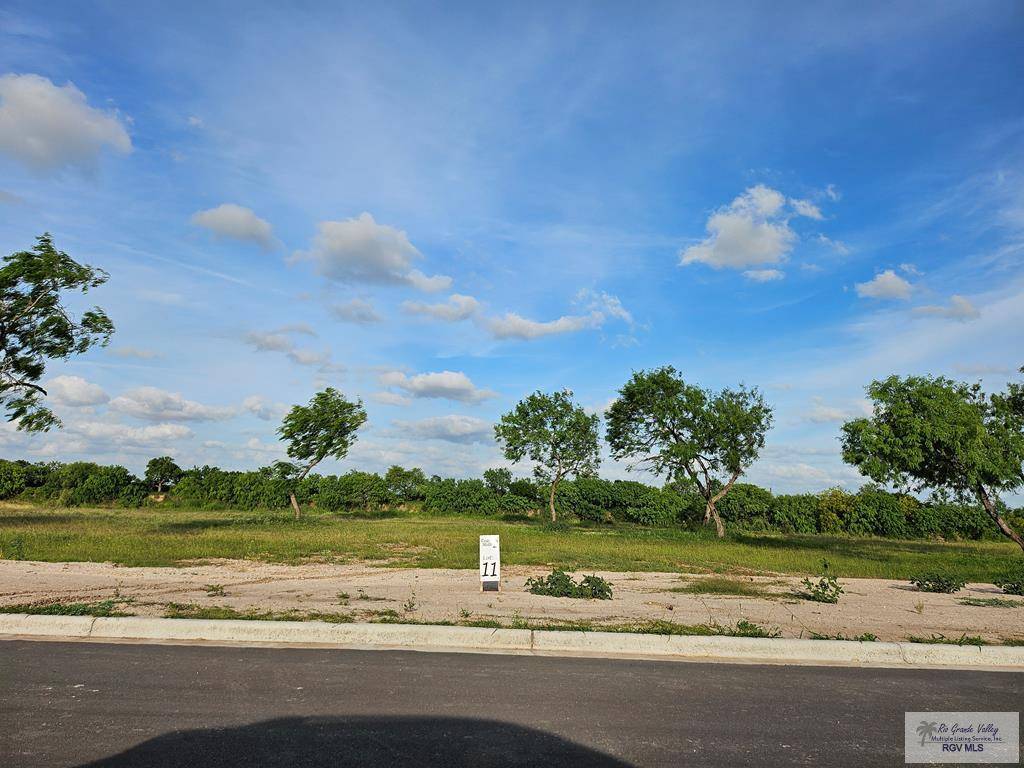 1344 GIUSEPPE VERDI AVE, Brownsville, TX 78526
