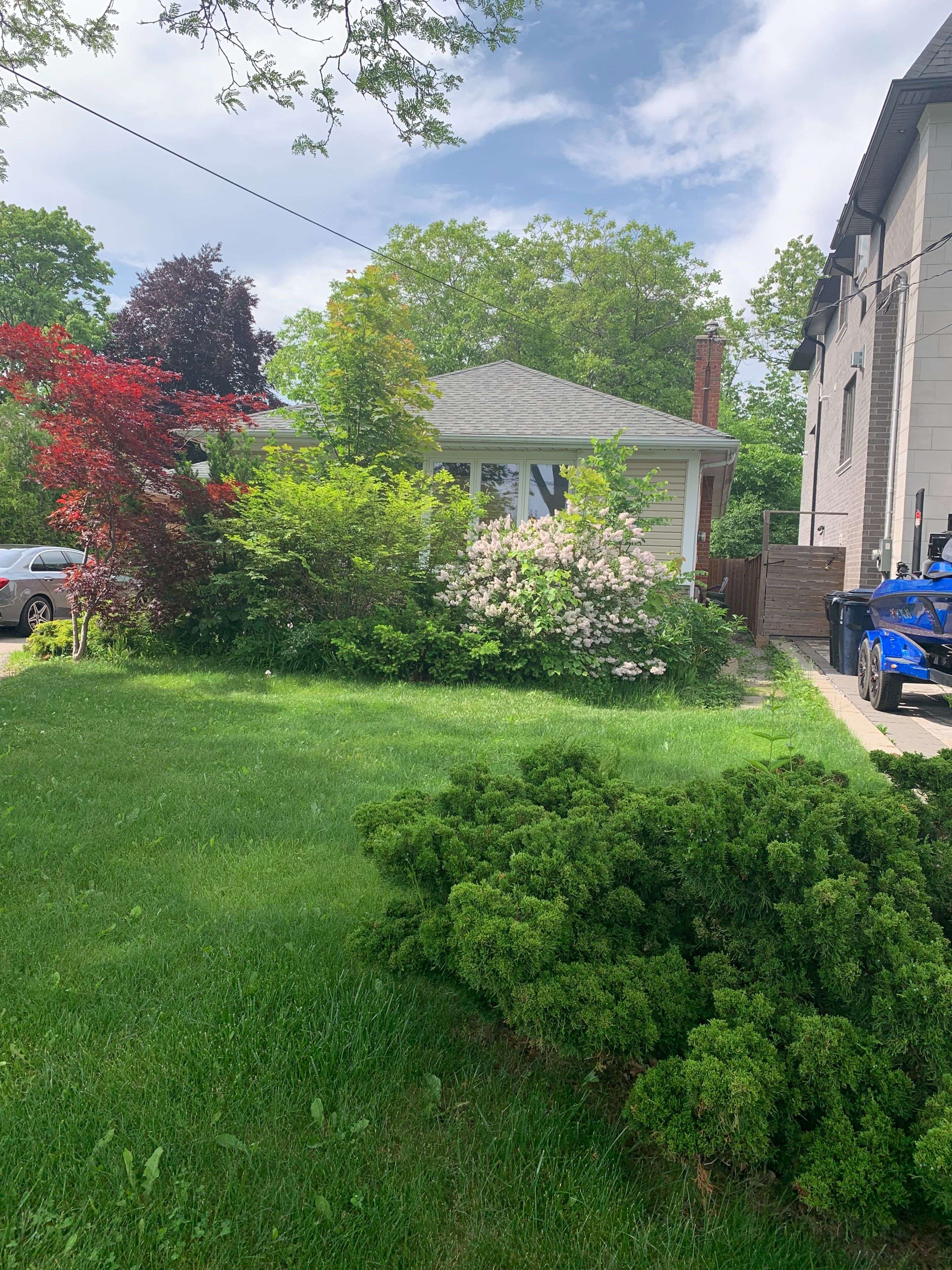 Toronto C07, ON M2R 1B1,288 Betty Ann DR #basement