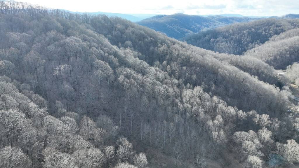 Bluefield, VA 24605,0 Goss Rd