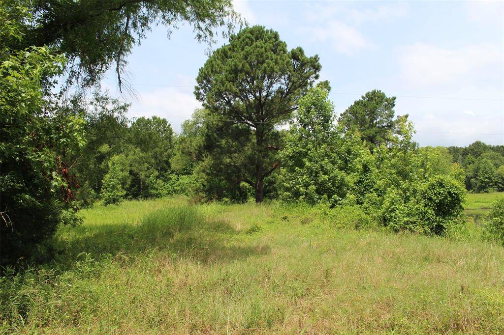 Grapeland, TX 75844,18.17 acres CR 1190
