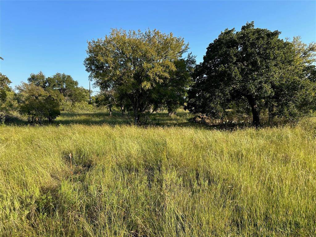 Brownwood, TX 76801,TBD335 Breezy Street