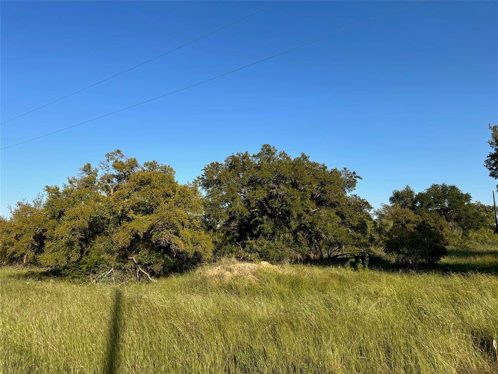 Brownwood, TX 76801,TBD335 Breezy Street