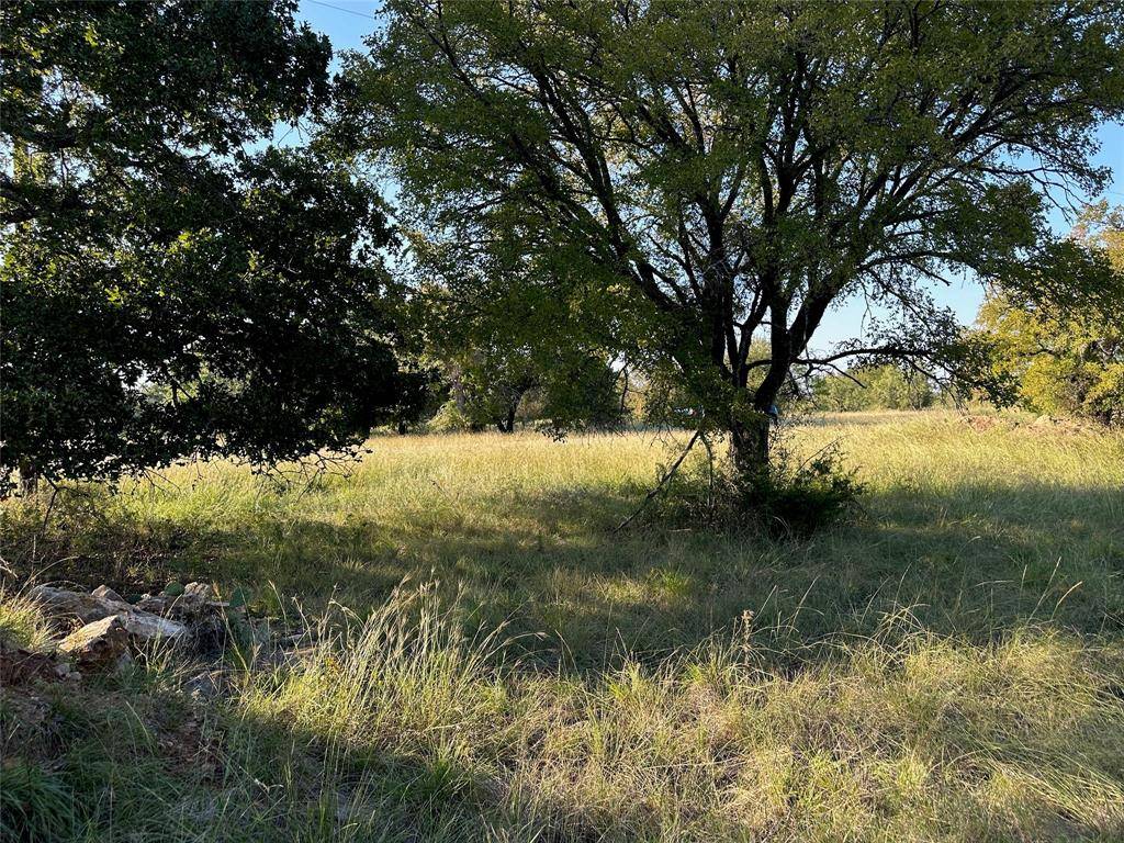 Brownwood, TX 76801,TBD335 Breezy Street