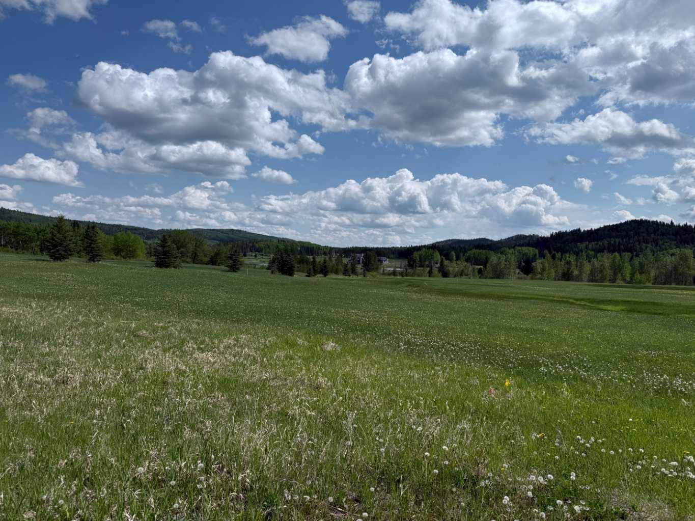 Rural Foothills County, AB T3Z3R3,352245 194 AVE West