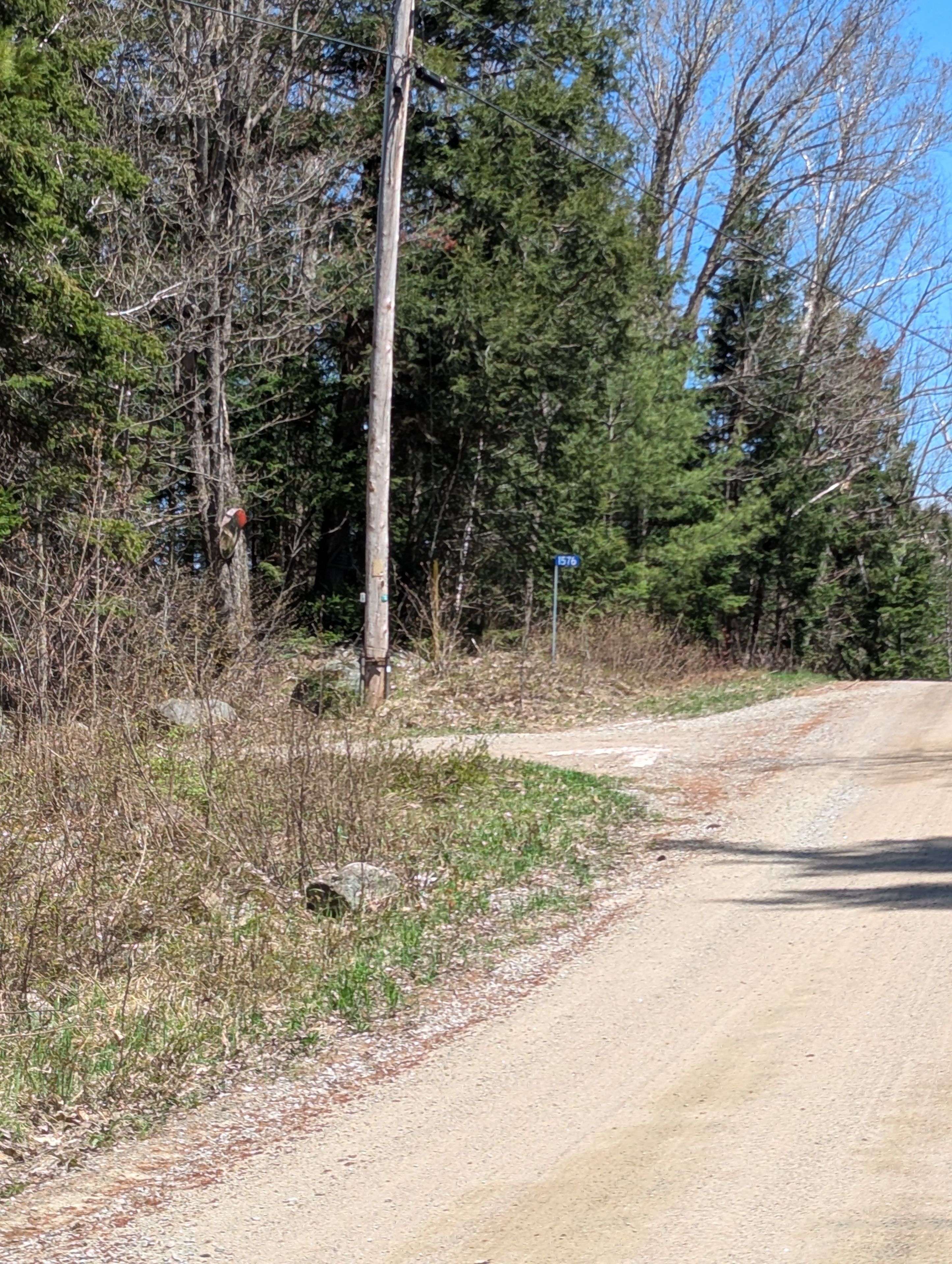 Lake Of Bays, ON P0B 1A0,0 N Pine DR