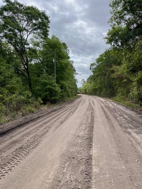 Manor, GA 31550,Lot 16 Stovall Lane