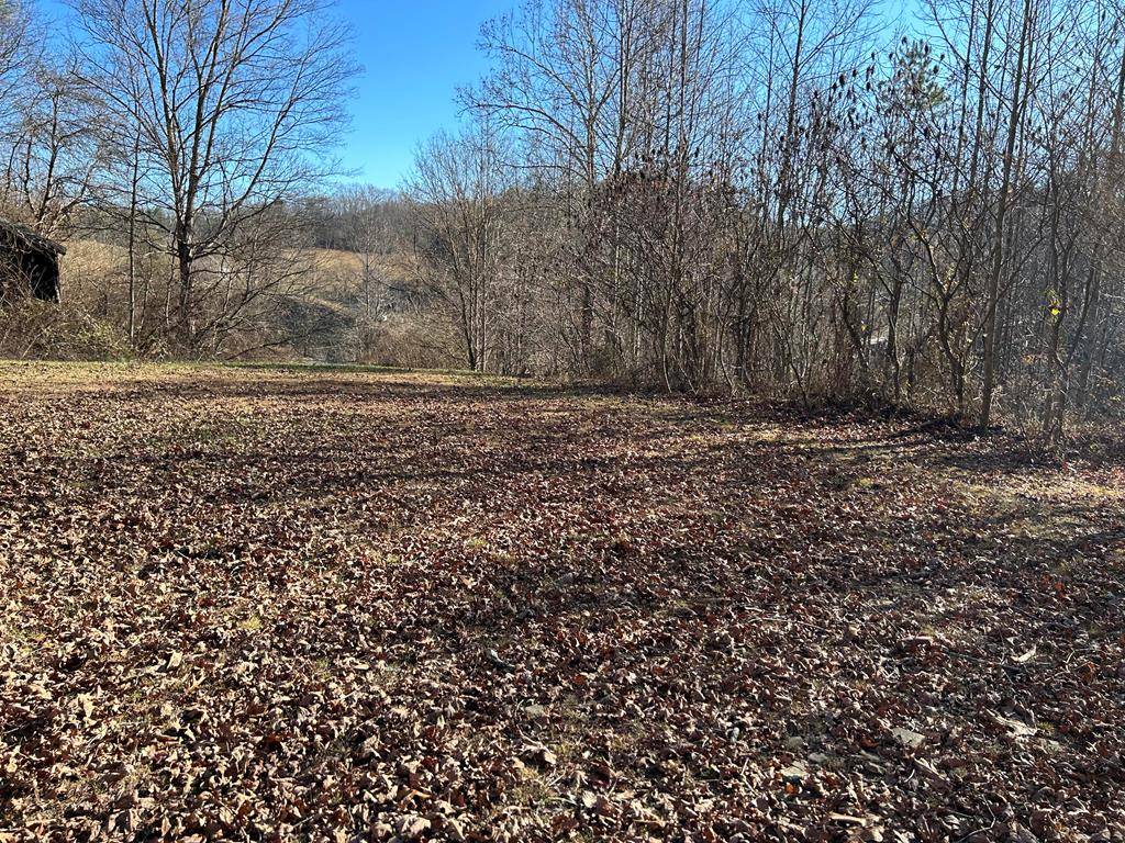 TBD Horton Ridge RD, Swords Creek, VA 24649