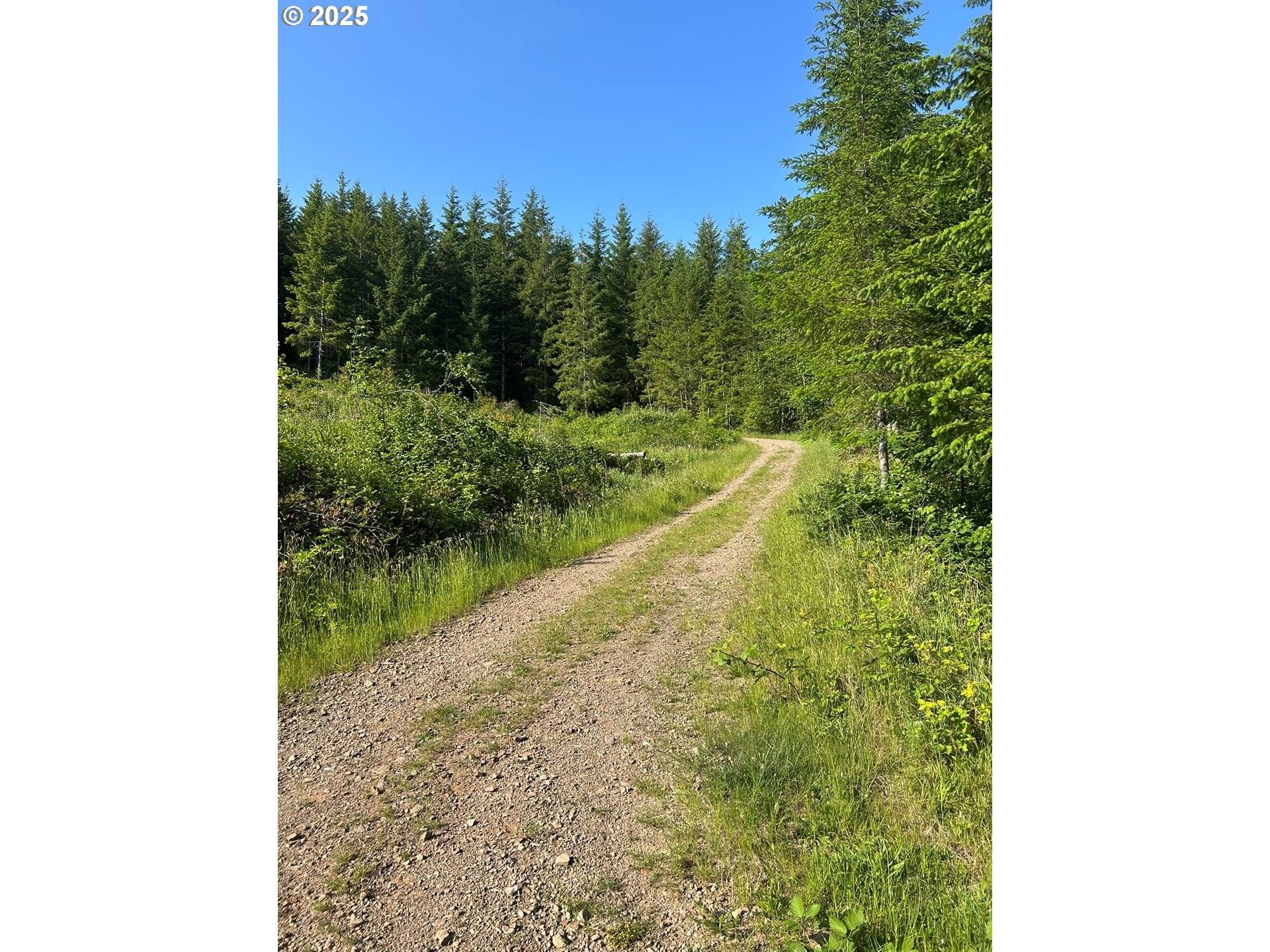 Amboy, WA 98601,0 NE 206th AVE