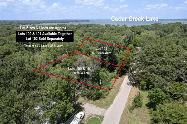 Lots 100 & 101 Wood Canyon Road, Tool, TX 75143