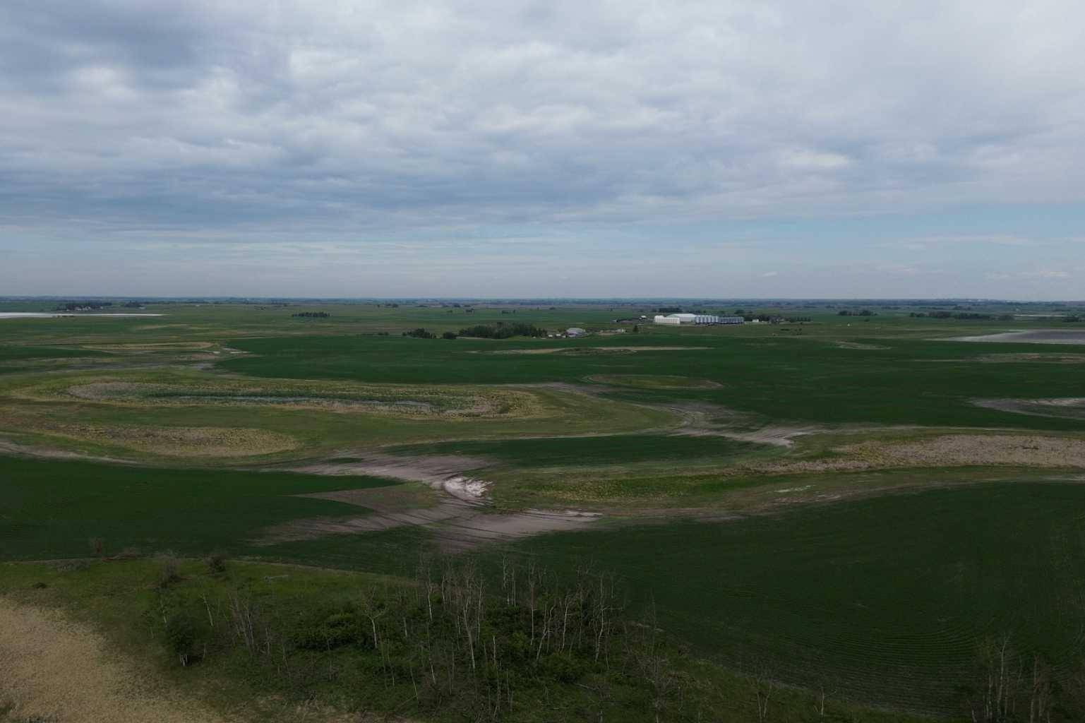 Rural Stettler No. 6 County Of, AB T0B 1H0,TWP Rd 410