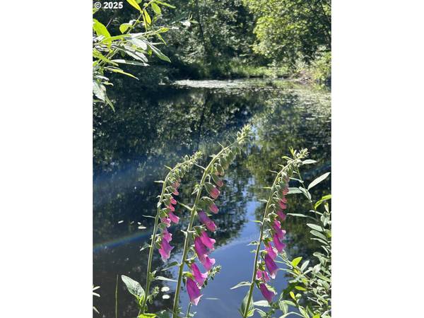 1 E Brightwood Loop RD, Brightwood, OR 97011