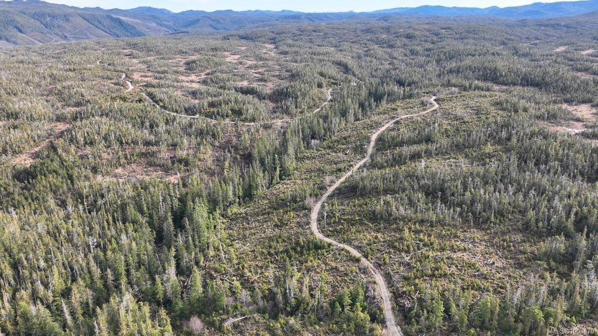 9 Cape Sutil Holberg (Off) Hwy, Port Hardy, BC V0N 2P0
