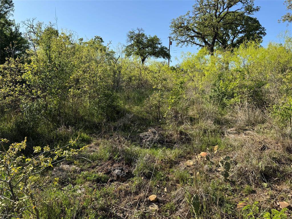 Cisco, TX 76437,TBD ALLEY 23RD/24TH Alley