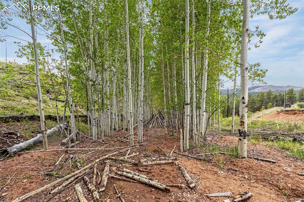 Woodland Park, CO 80863,L1 B4 Columbine CIR