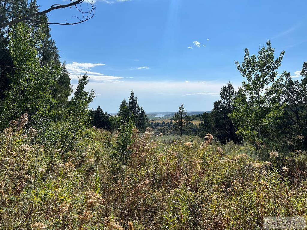 1709 Mountain Maple Drive, Ashton, ID 83420