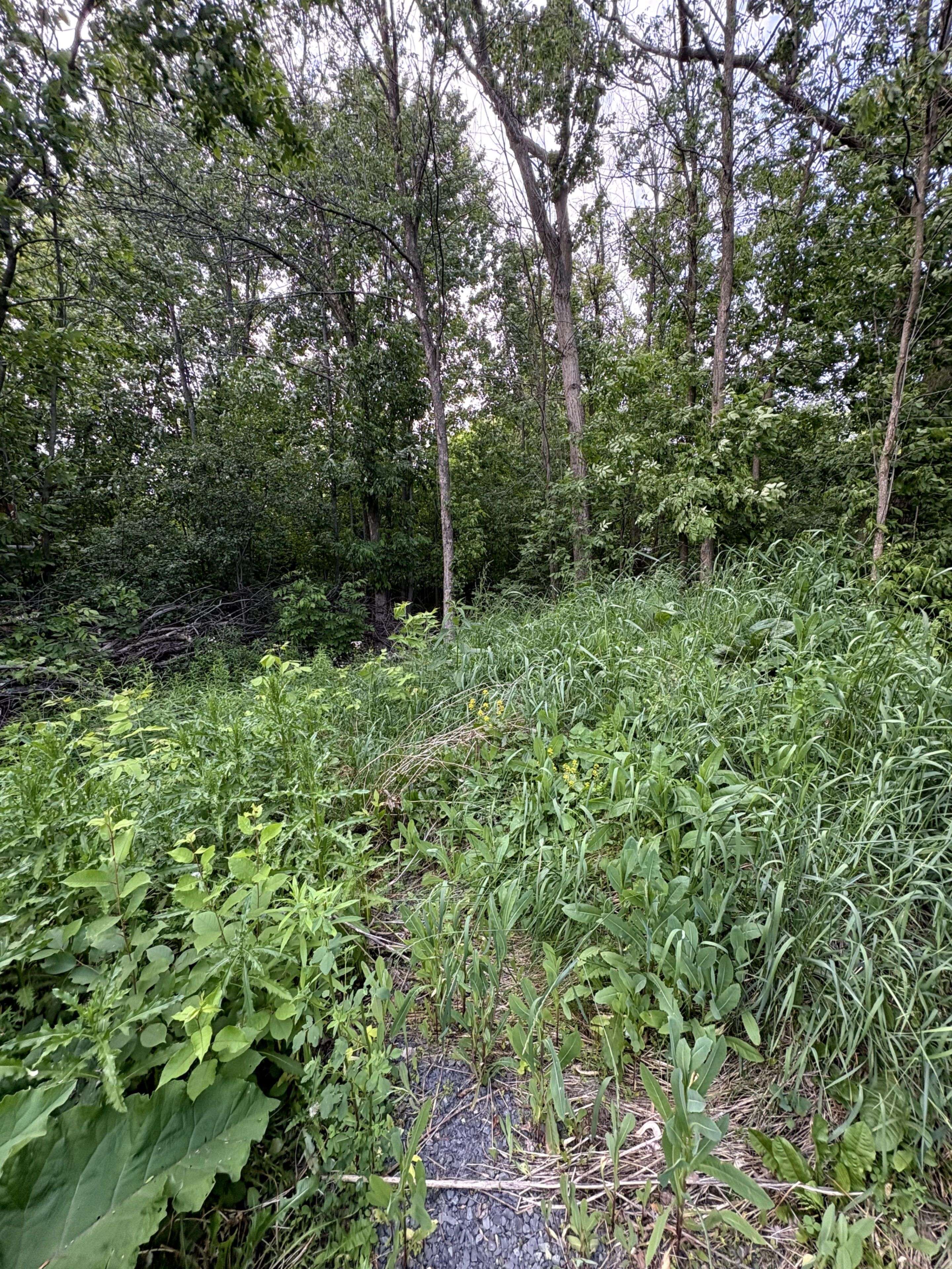 South Dundas, ON K0C 1X0,LOT County Road 28 RD N