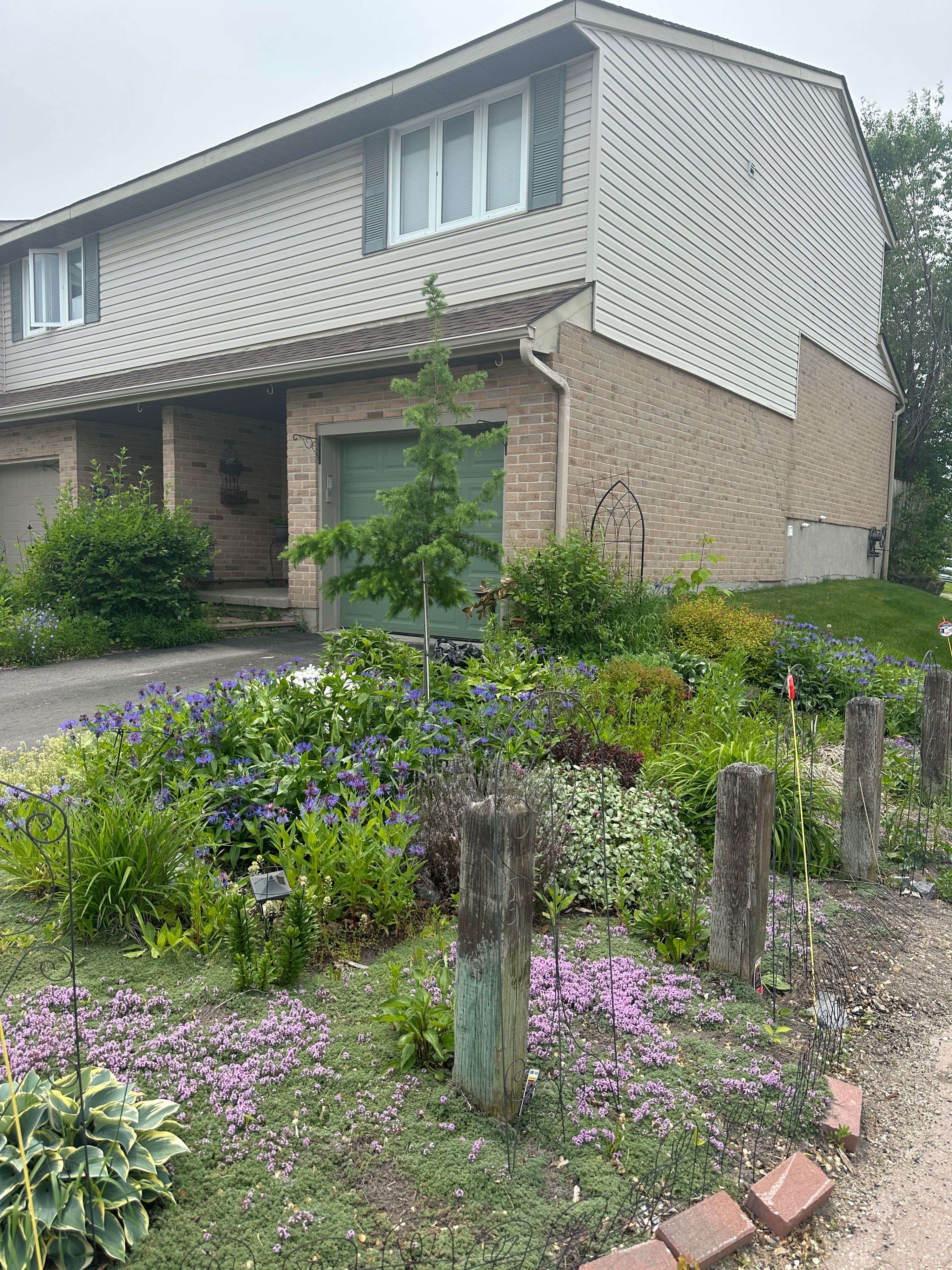 52 Coventry CRES, Kingston, ON K7M 7S7