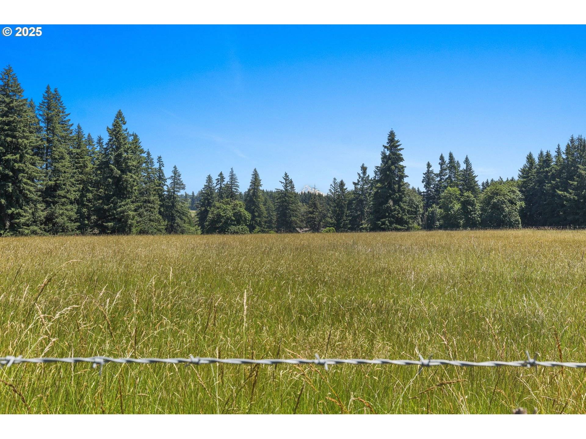 Damascus, OR 97089,15170 SE 202ND AVE