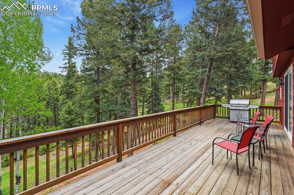 Florissant, CO 80816,938 Spring Valley LN