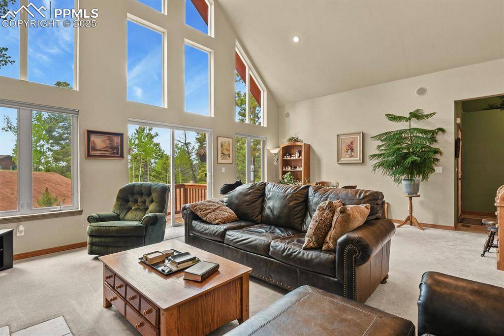 Florissant, CO 80816,938 Spring Valley LN