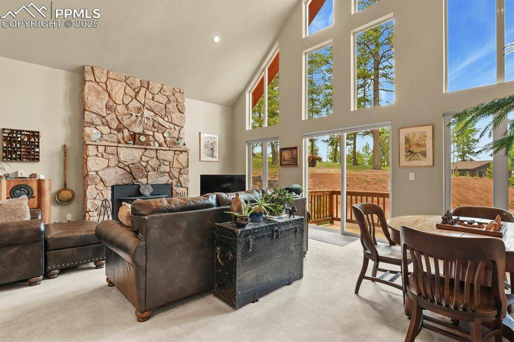 Florissant, CO 80816,938 Spring Valley LN