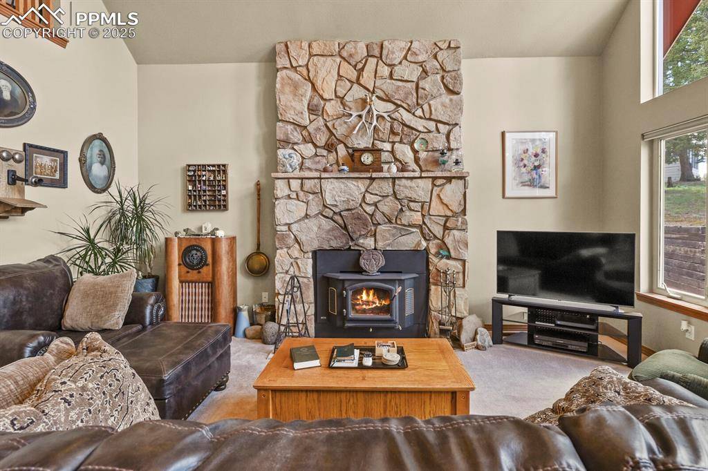 Florissant, CO 80816,938 Spring Valley LN