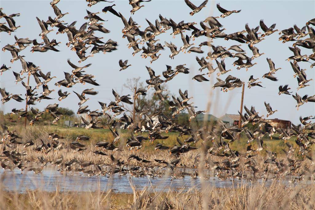 359 Acres CR 164, No City, TX 79521