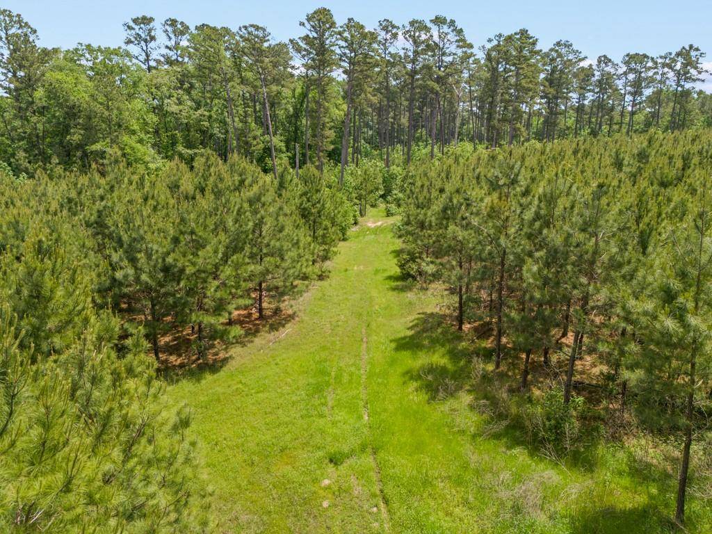 Karnack, TX 75661,1193 Cowpen Road