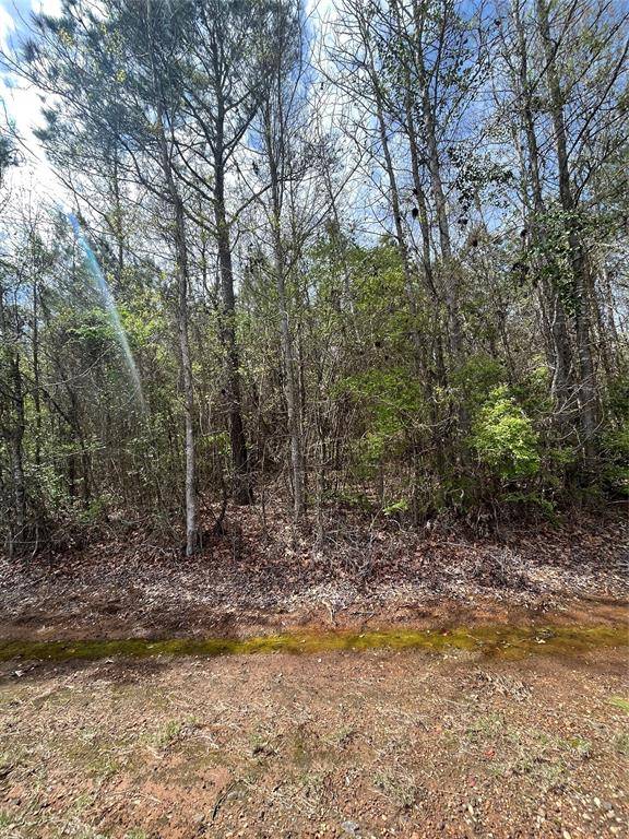 Benton, LA 71006,0 Crouch Road #2