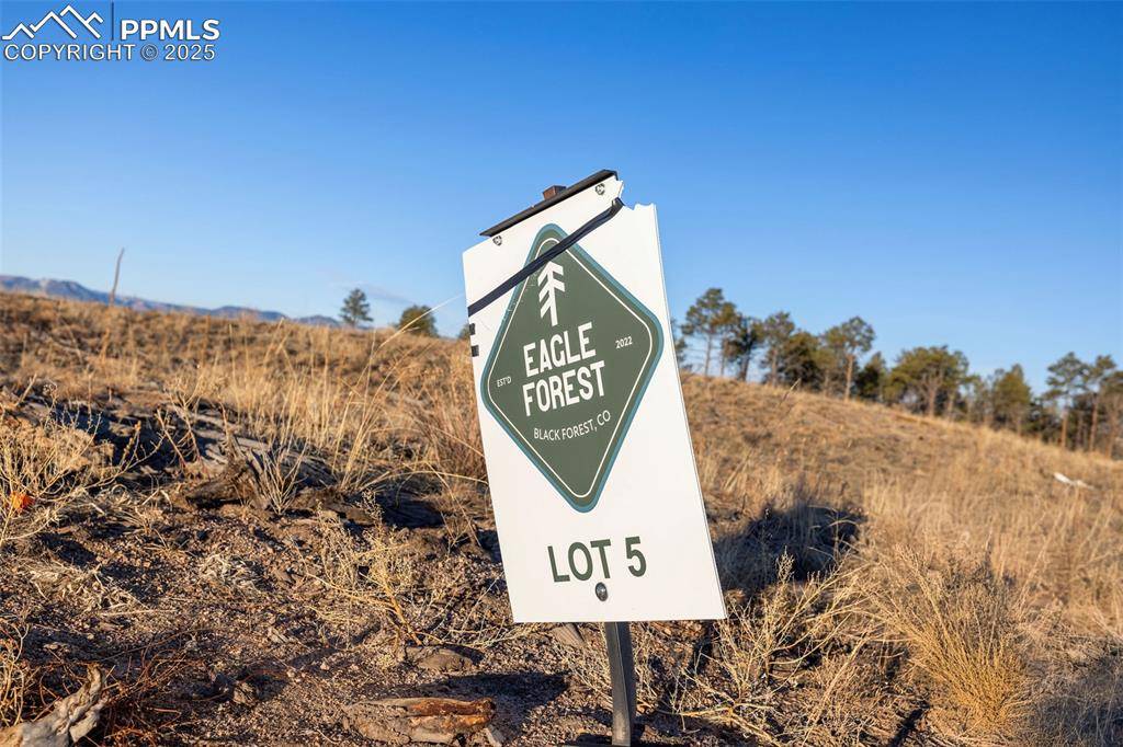 Colorado Springs, CO 80908,12751 Eagle Forest DR