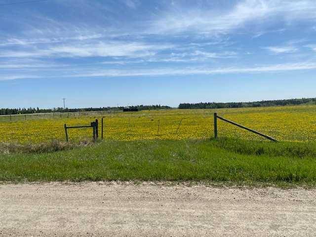 RR50, Rural Mountain View County, AB T0M 0B9