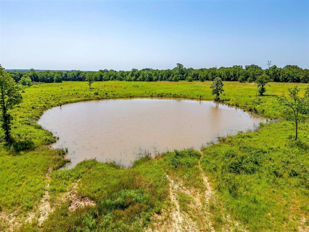 Poolville, TX 76487,210 Trails End
