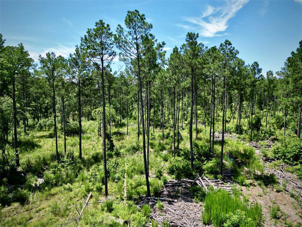 Bernice, LA 71222,000 William Colvin Road