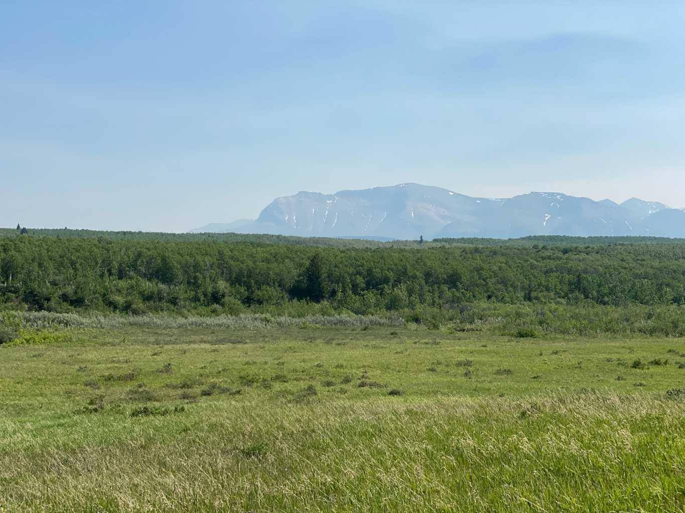 Rural Cardston County, AB T0K 0K0,23015A Highway 5