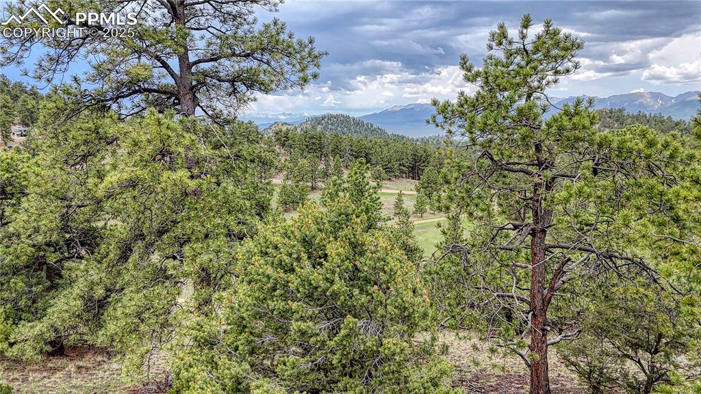 44 Honeysuckle TER, Westcliffe, CO 81252