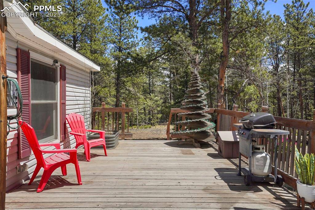 Florissant, CO 80816,2450 Pathfinder RD