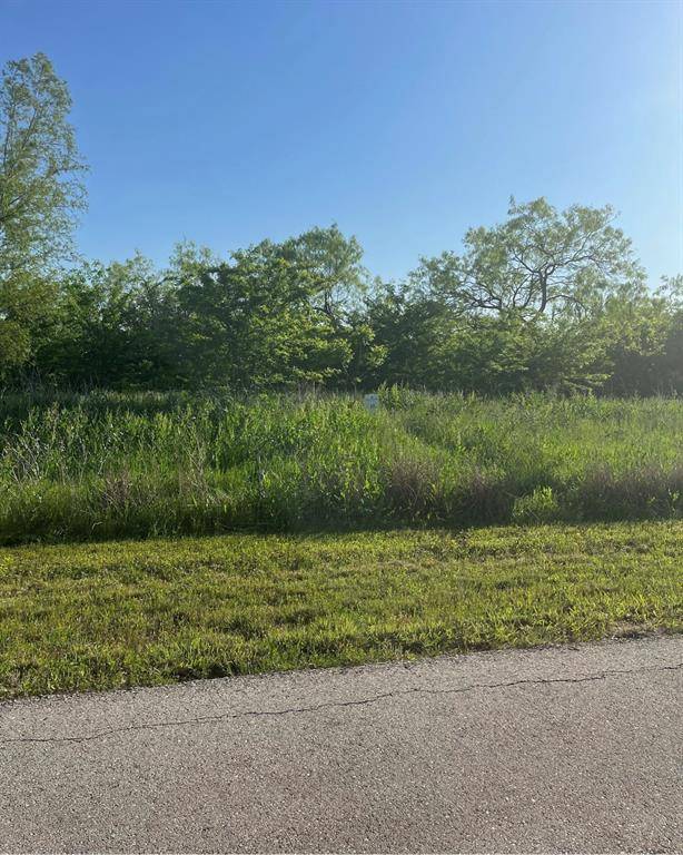 Kemp, TX 75143,9085 W Shoreline Drive