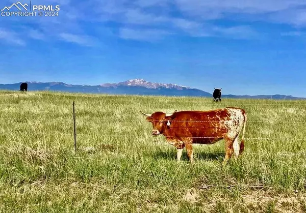 9540 N Log RD, Calhan, CO 80808