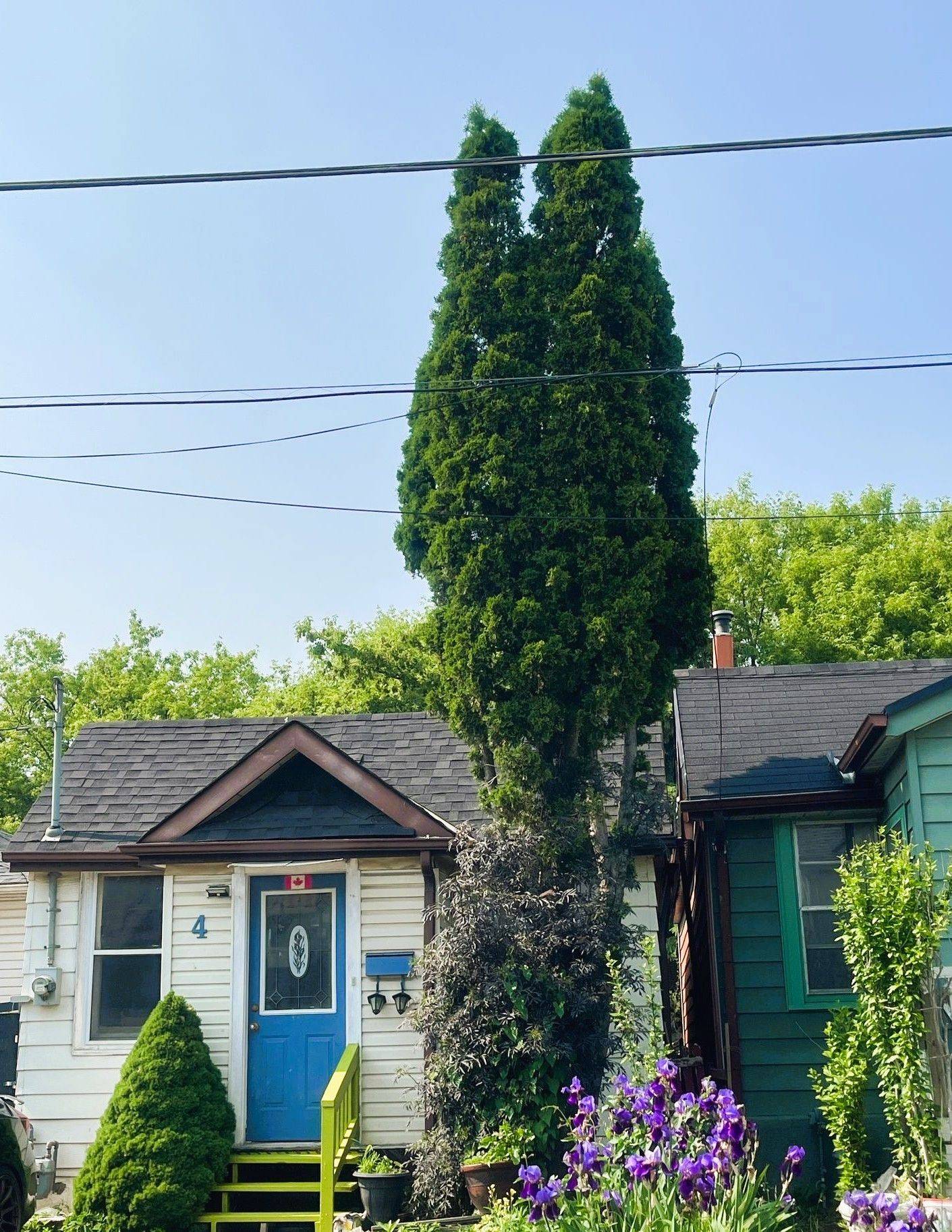 4 Lucy AVE, Toronto E06, ON M1L 1A2