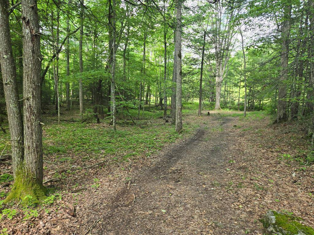 TBD POOR VALLEY RD, Ceres, VA 24315